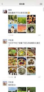 微信朋友圈实况图片怎样关闭-微信朋友圈实况图片如何关闭
