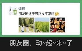 微信朋友圈实况图片发送失败的解决办法-微信朋友圈实况图片发送失败怎办之解决法