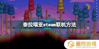 泰拉瑞亚Steam版与手机联机的可能性-泰拉瑞亚Steam版能否与手机联机